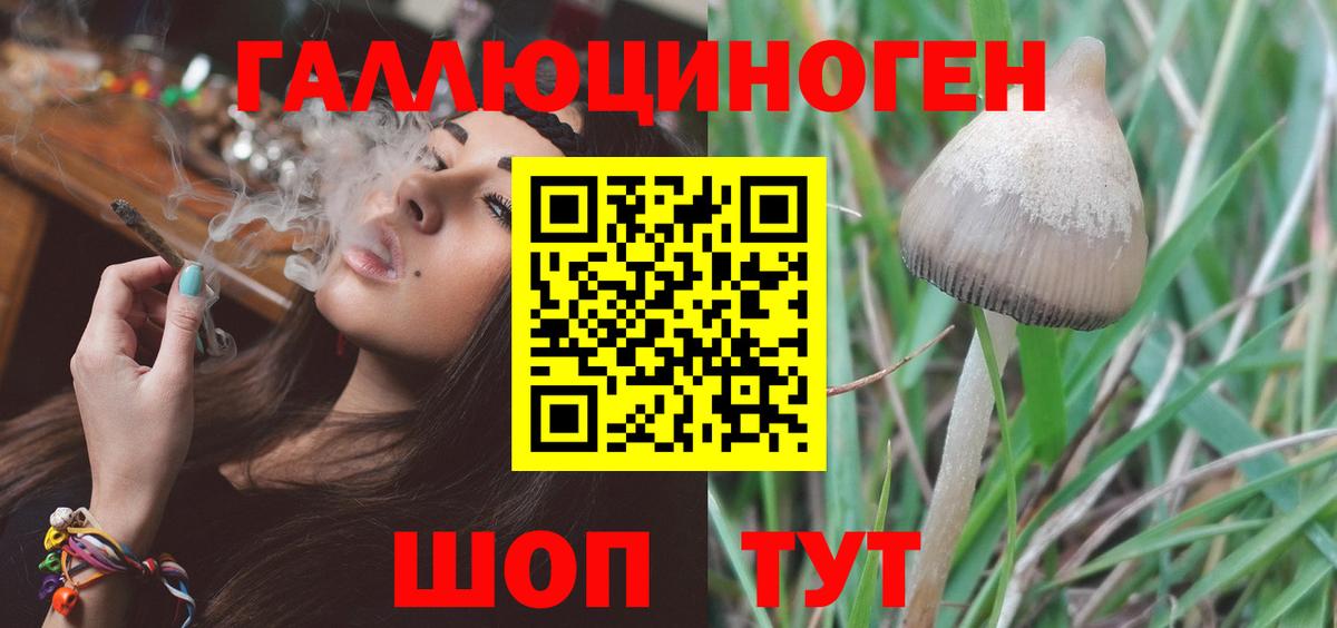 Псилоцибиновые грибы Magic Shrooms  Вход с VPN  Карасук 