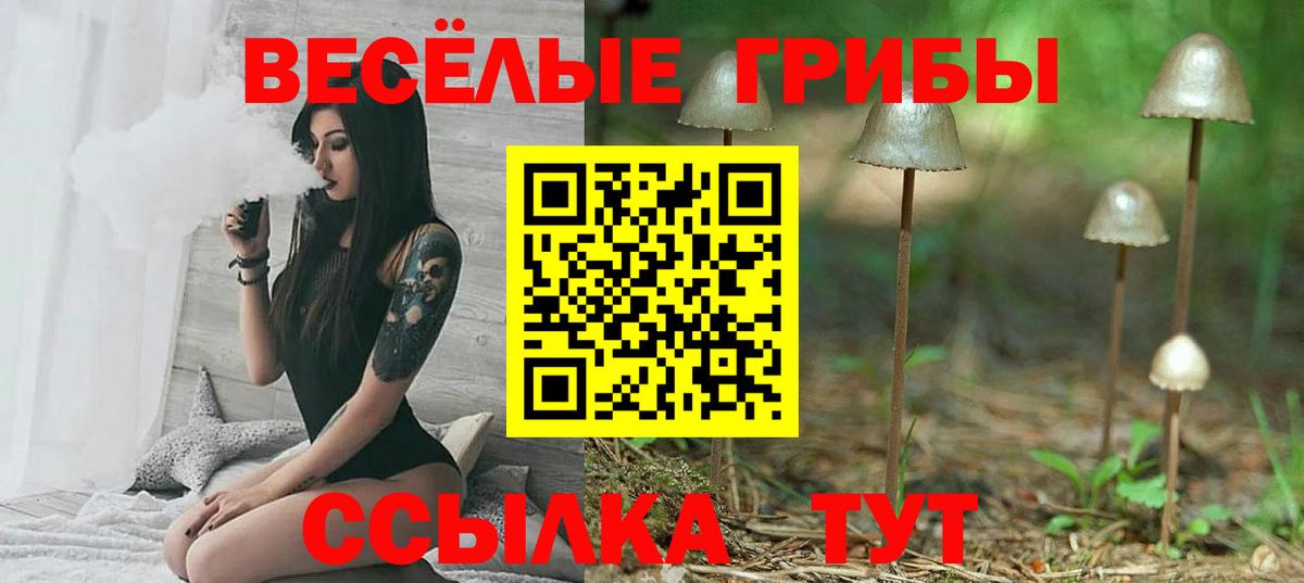 Псилоцибиновые грибы мицелий Карасук